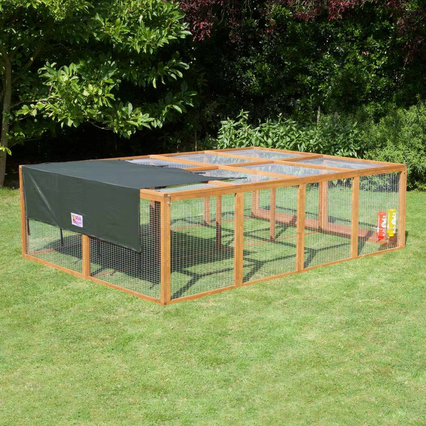 5ft XL Chartwell Guinea Pig Run | Huge Room and 2.2ft Height | Largest 5ft On the Market | Use with Hutch or Standalone - Home & Roost